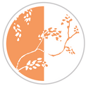 Blood Orange #1181-181