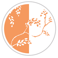 Blood Orange #1181-181
