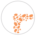 Blood Orange #1181-091