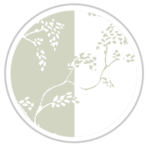 Pistachio Blitz #1242-181