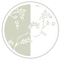 Pistachio Blitz #1242-181
