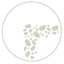 Pistachio Blitz #1242-091