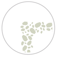 Pistachio Blitz #1242-091