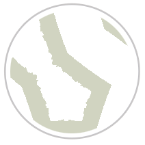 Pistachio Blitz #1242-391