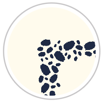 Navy Blue & Pale Cream #1273-091