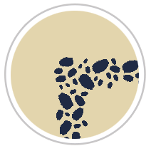 Navy Blue & Tan #1274-091