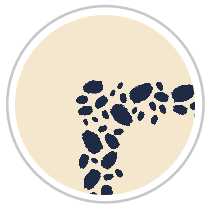 Navy Blue & Beige #1275-091