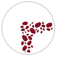 Burgundy Red & White #1281-091