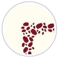 Burgundy Red & Pale Cream #1283-091