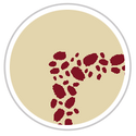 Burgundy Red & Tan #1284-091