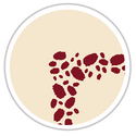 Burgundy Red & Beige #1285-091