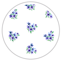 Medium Pattern #1305