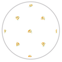 Small Pattern #1316