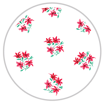 Medium Pattern #1335