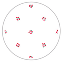 Small Pattern #1336