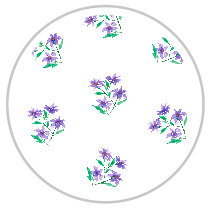 Medium Pattern #1355