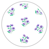 Medium Pattern #1355