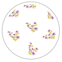 Medium Pattern #1365