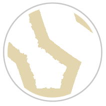 Tan & White #1371-391