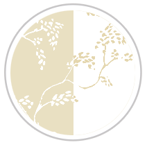 Tan & White #1371-181