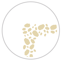 Tan & White #1371-091