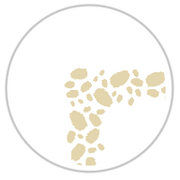 Tan & White #1371-091