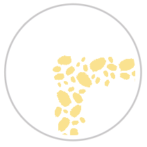 Floral Garden One #1381-091