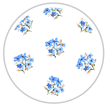 Medium Pattern #1405