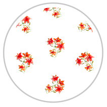 Medium Pattern #1415