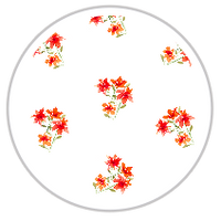 Medium Pattern #1415