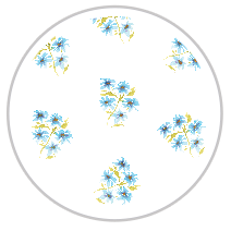 Medium Pattern #1435