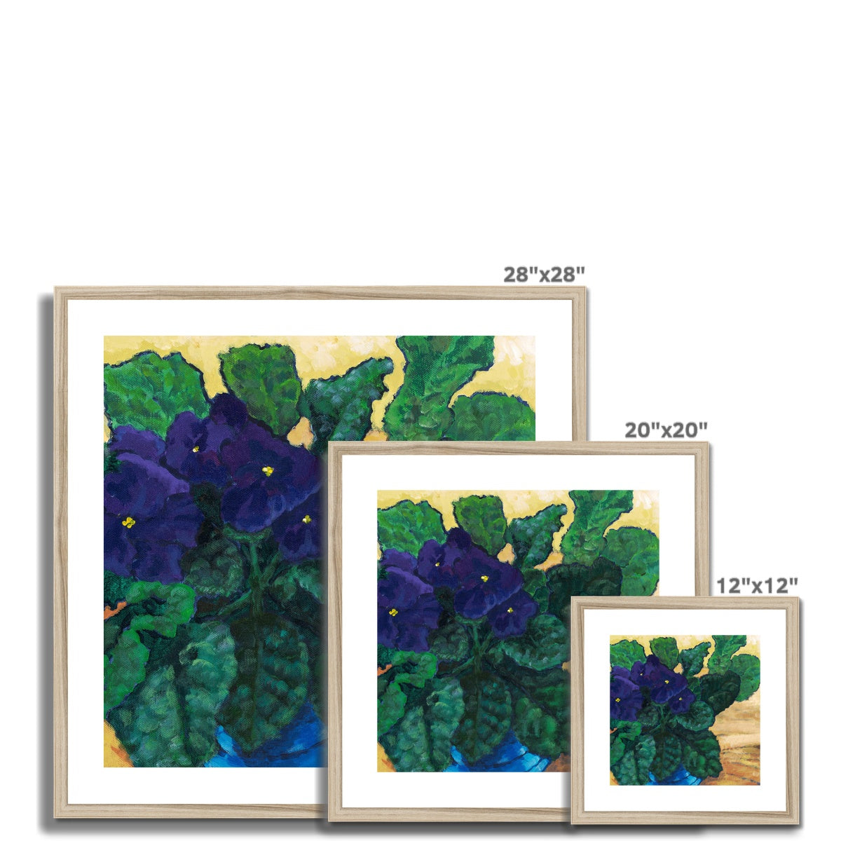 Framed Fine Art Print, White Mat - 8x8 12x12 16x16 20x20 24x24 28x28 36x36 inches | African Violets in Acrylic, FPS-1090