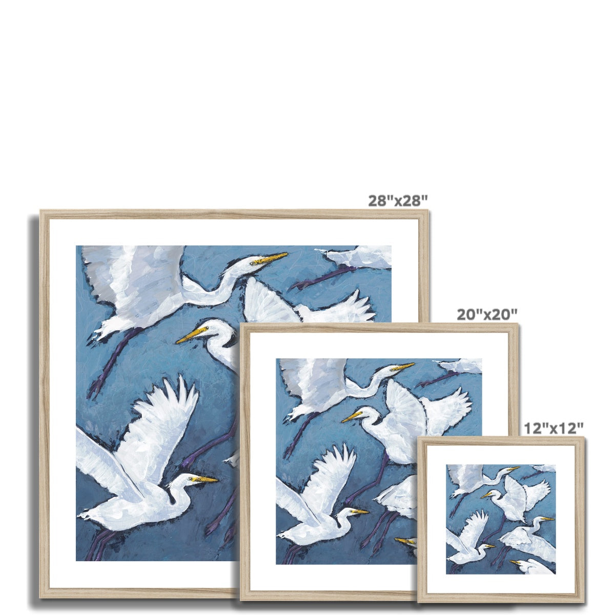 Framed Fine Art Print, White Mat - 8x8 12x12 16x16 20x20 24x24 28x28 36x36 inches | White Herons in Acrylic, FPS-1020-001