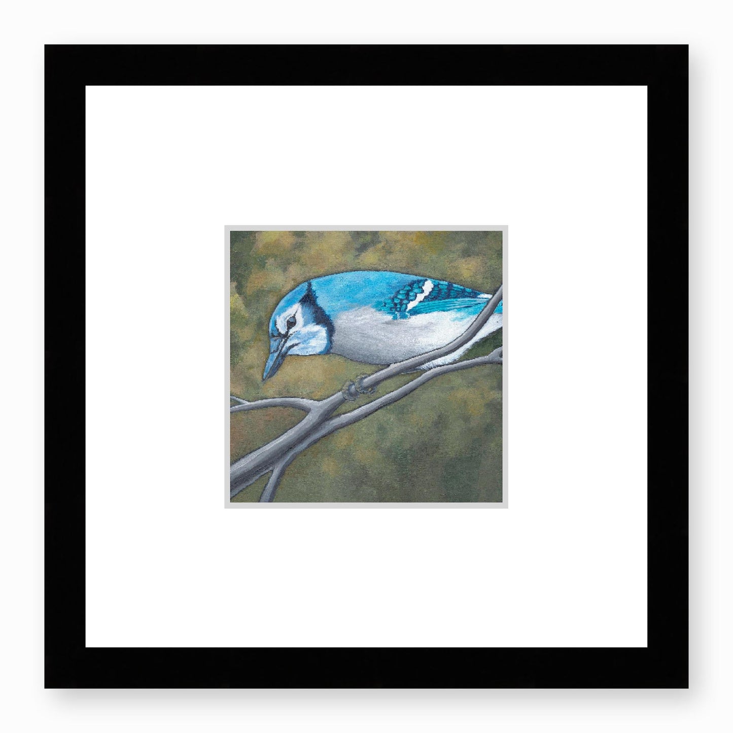 Framed Fine Art Print, Faux Mat - 12x12 inches | Blue Jay in Acrylic, FMS-1000-1148, Prints, Fine art, Black Frame,12 x 12 inches