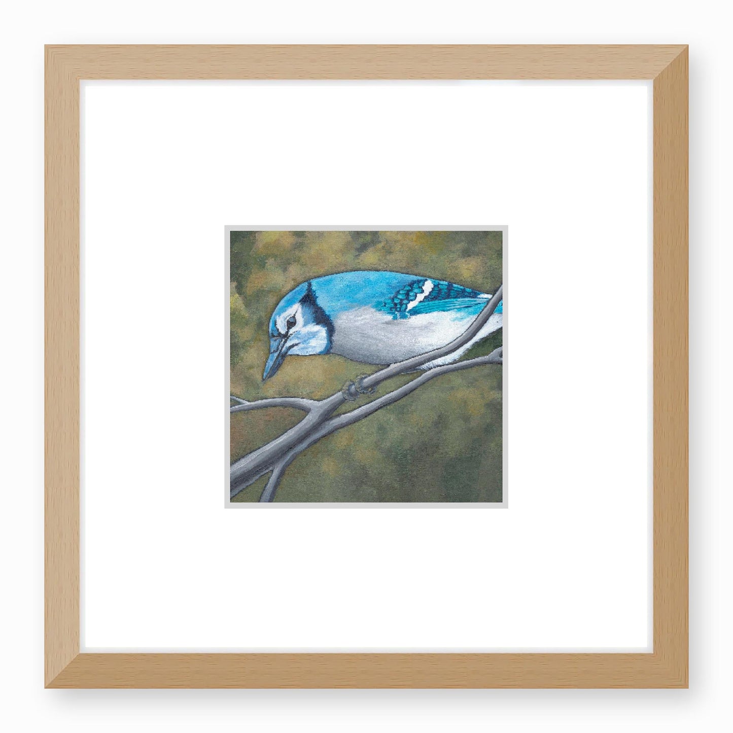 Framed Fine Art Print, Faux Mat - 12x12 inches | Blue Jay in Acrylic, FMS-1000-1148, Prints, Fine art, Natural Frame,12 x 12 inches