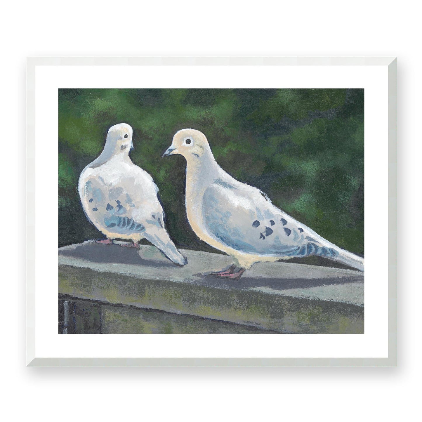 Framed Fine Art Print, White Mat - 14x12 19x16 24x20 29x24 34x28 39x32 inches | Mourning Doves in Acrylic, FPH-1000-1125, Prints, Fine art, White Frame, 74 x 61 cm, 29 x 24 inches