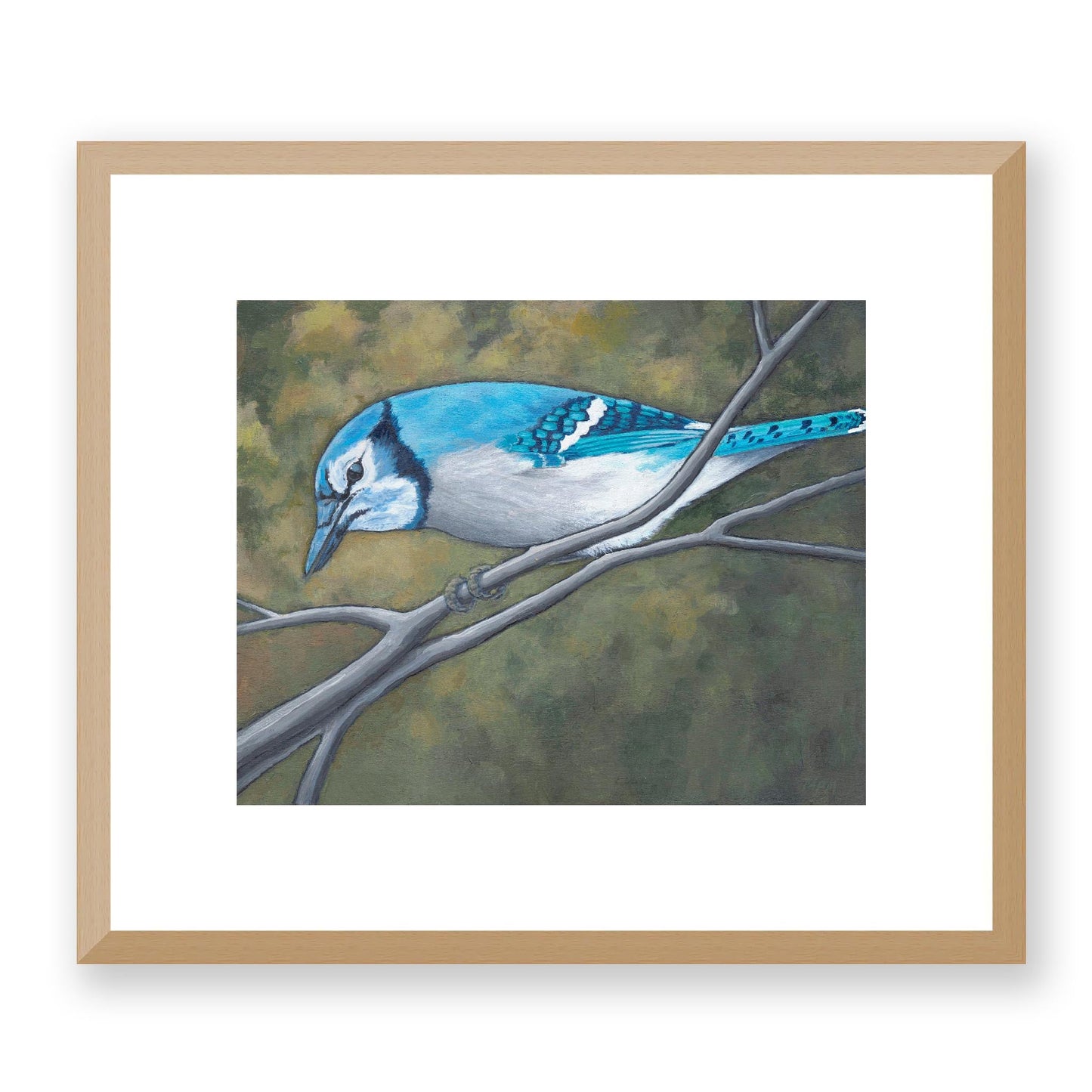 Framed Fine Art Print, White Mat - 14x12 19x16 24x20 29x24 34x28 inches | Blue Jay in Acrylic, FPH-1000-1148, Prints, Fine art, Natural Frame, 36 x 30 cm, 14 x 12 inches