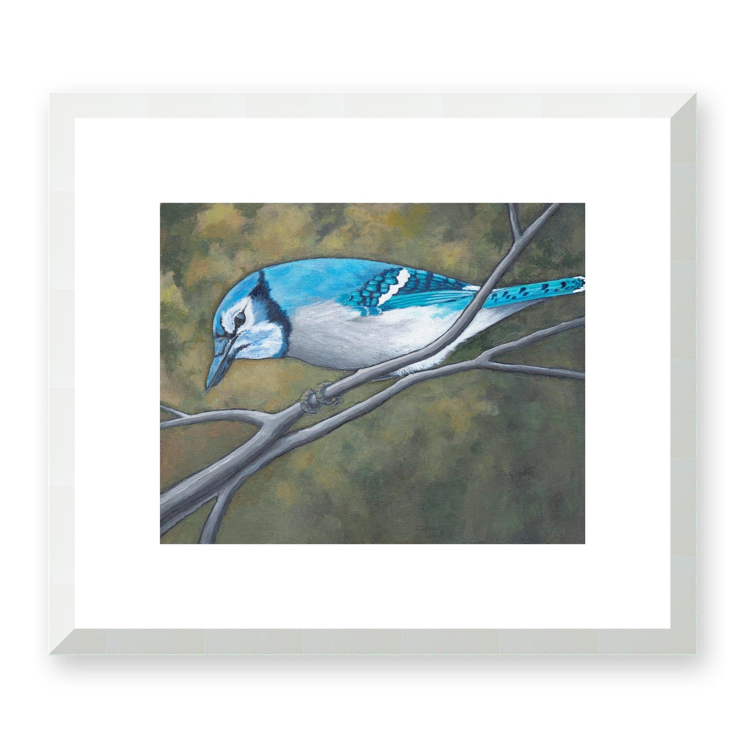 Framed Fine Art Print, White Mat - 14x12 19x16 24x20 29x24 34x28 inches | Blue Jay in Acrylic, FPH-1000-1148, Prints, Fine art, White Frame, 36 x 30 cm, 14 x 12 inches
