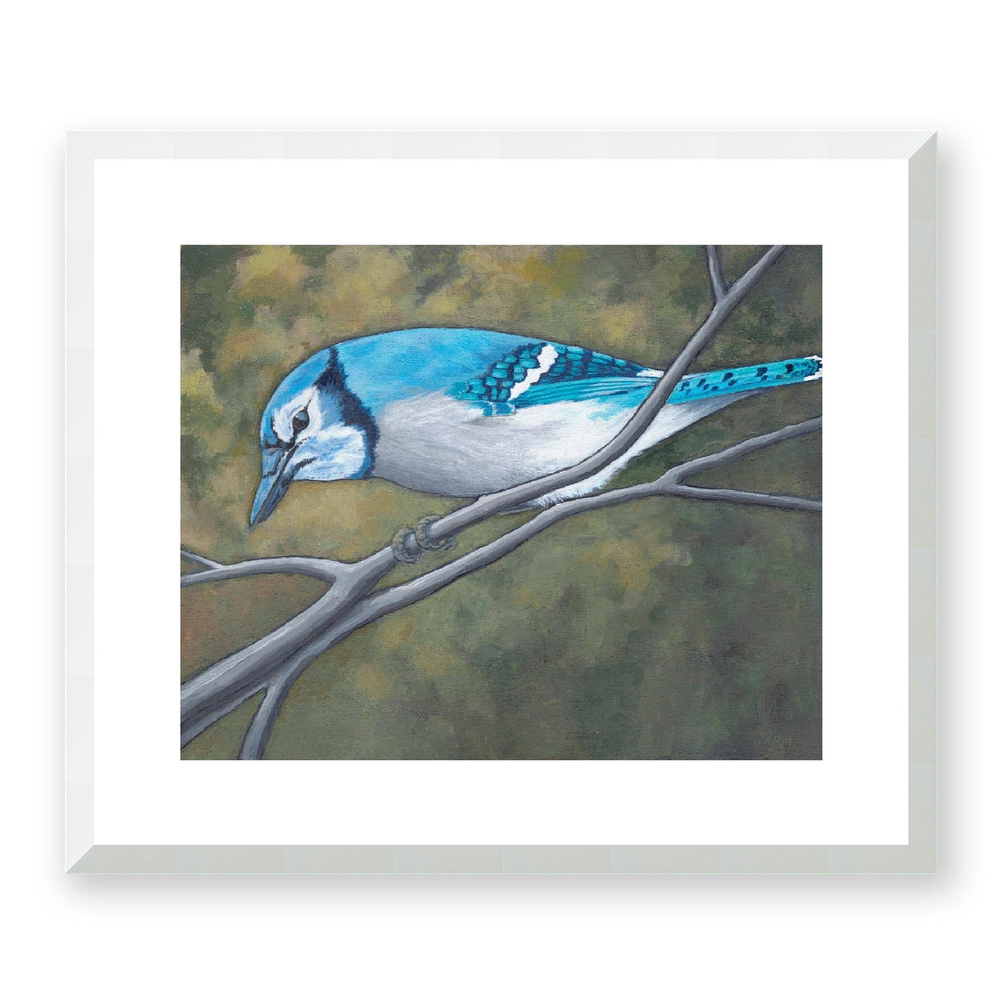 Framed Fine Art Print, White Mat - 14x12 19x16 24x20 29x24 34x28 inches | Blue Jay in Acrylic, FPH-1000-1148, Prints, Fine art, White Frame, 48 x 41 cm, 19 x 16 inches