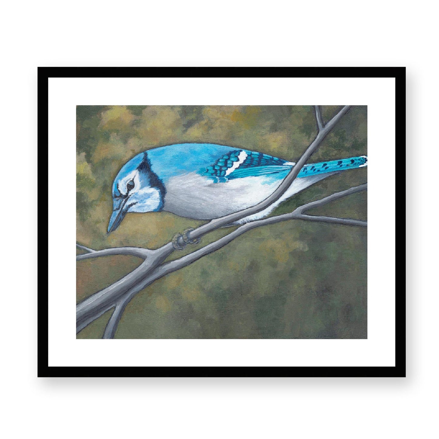 Framed Fine Art Print, White Mat - 14x12 19x16 24x20 29x24 34x28 inches | Blue Jay in Acrylic, FPH-1000-1148, Prints, Fine art, Black Frame, 61 x 51 cm, 24 x 20 inches
