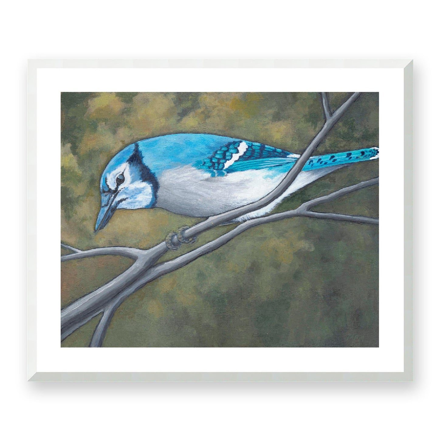Framed Fine Art Print, White Mat - 14x12 19x16 24x20 29x24 34x28 inches | Blue Jay in Acrylic, FPH-1000-1148, Prints, Fine art, White Frame, 74 x 61 cm, 29 x 24 inches