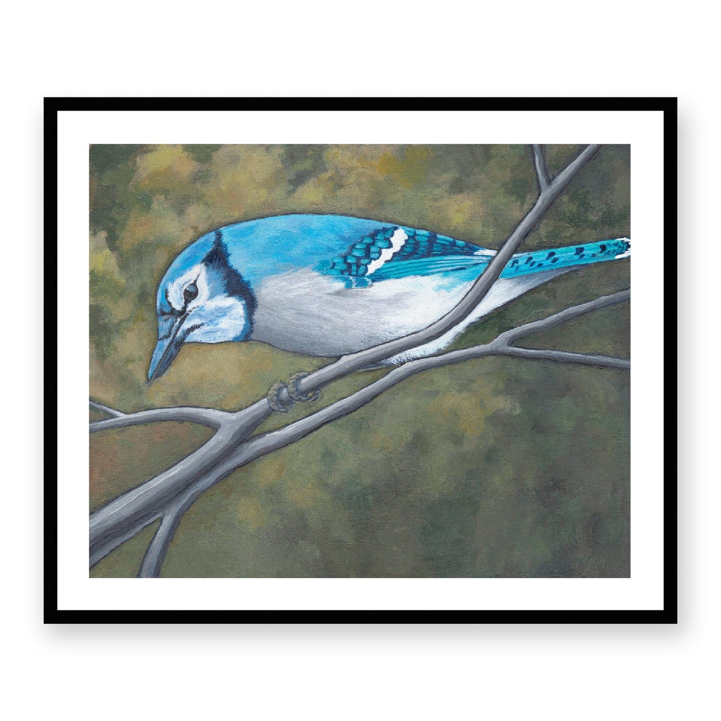 Framed Fine Art Print, White Mat - 14x12 19x16 24x20 29x24 34x28 inches | Blue Jay in Acrylic, FPH-1000-1148, Prints, Fine art, Black Frame, 86 x 71 cm, 34 x 28 inches