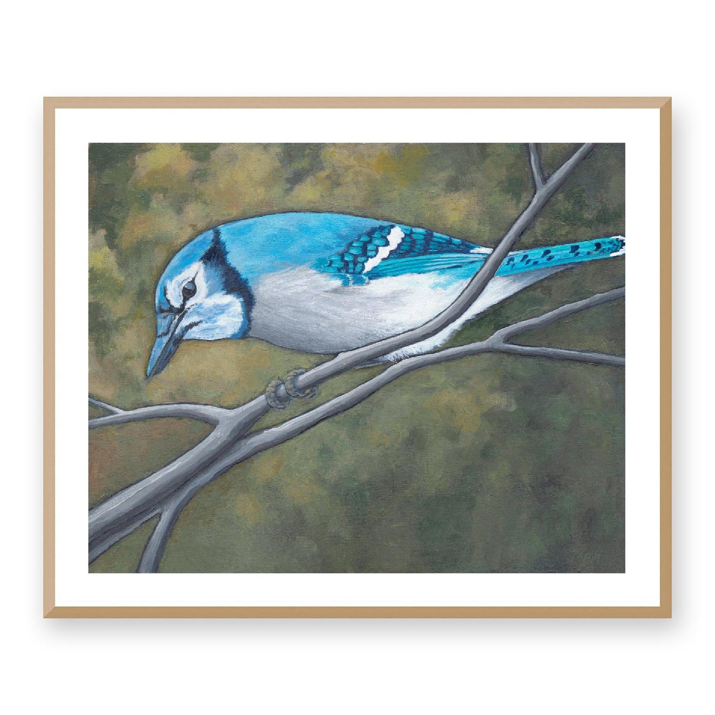 Framed Fine Art Print, White Mat - 14x12 19x16 24x20 29x24 34x28 inches | Blue Jay in Acrylic, FPH-1000-1148, Prints, Fine art, Natural Frame, 86 x 71 cm, 34 x 28 inches