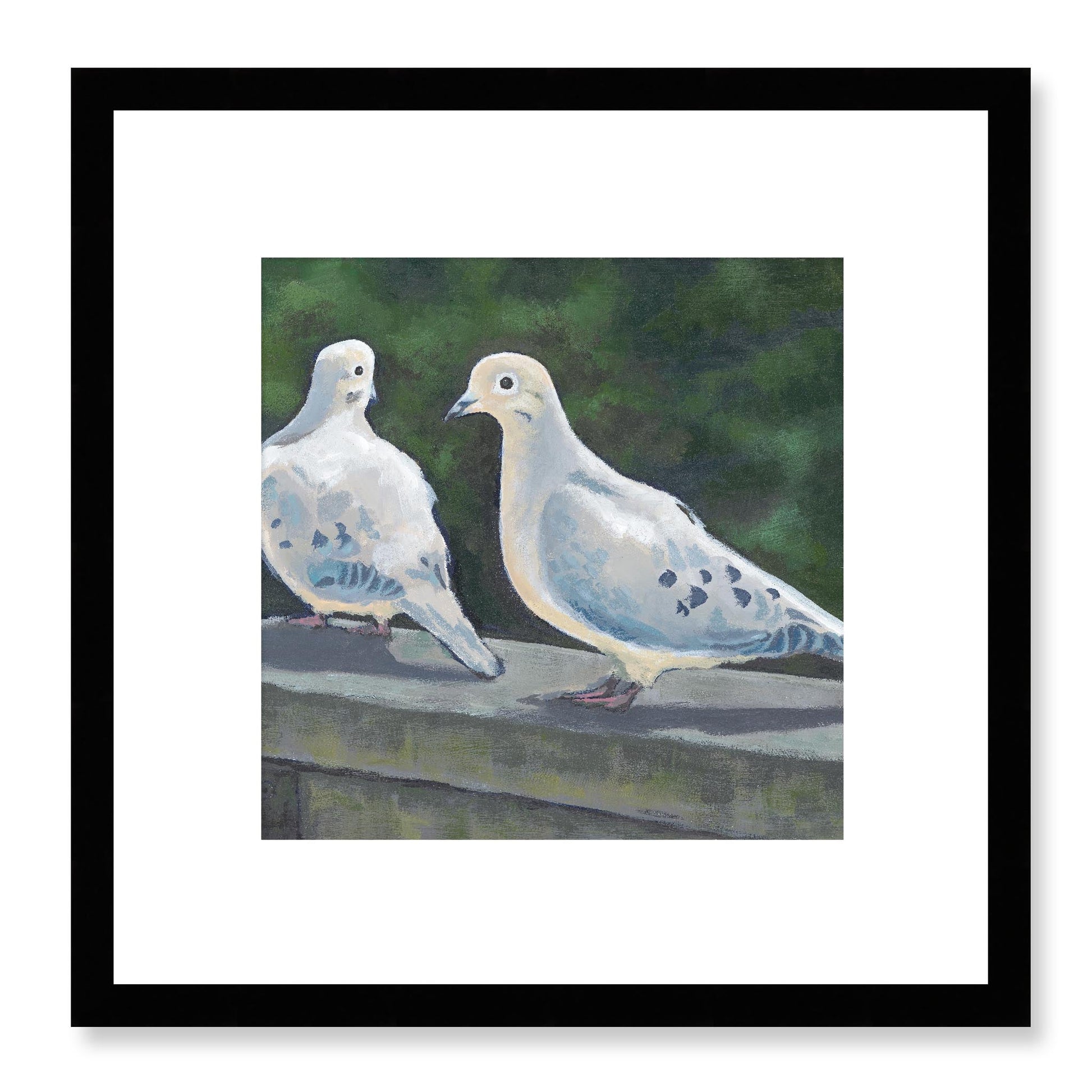 Framed Fine Art Print, White Mat - 12x12 16x16 20x20 24x24 28x28 32x32 36x36 40x40 inches | Mourning Doves in Acrylic, FPS-1000-1125, Prints, Fine art, Black Frame, 30 x 30 cm ,12 x 12 inches