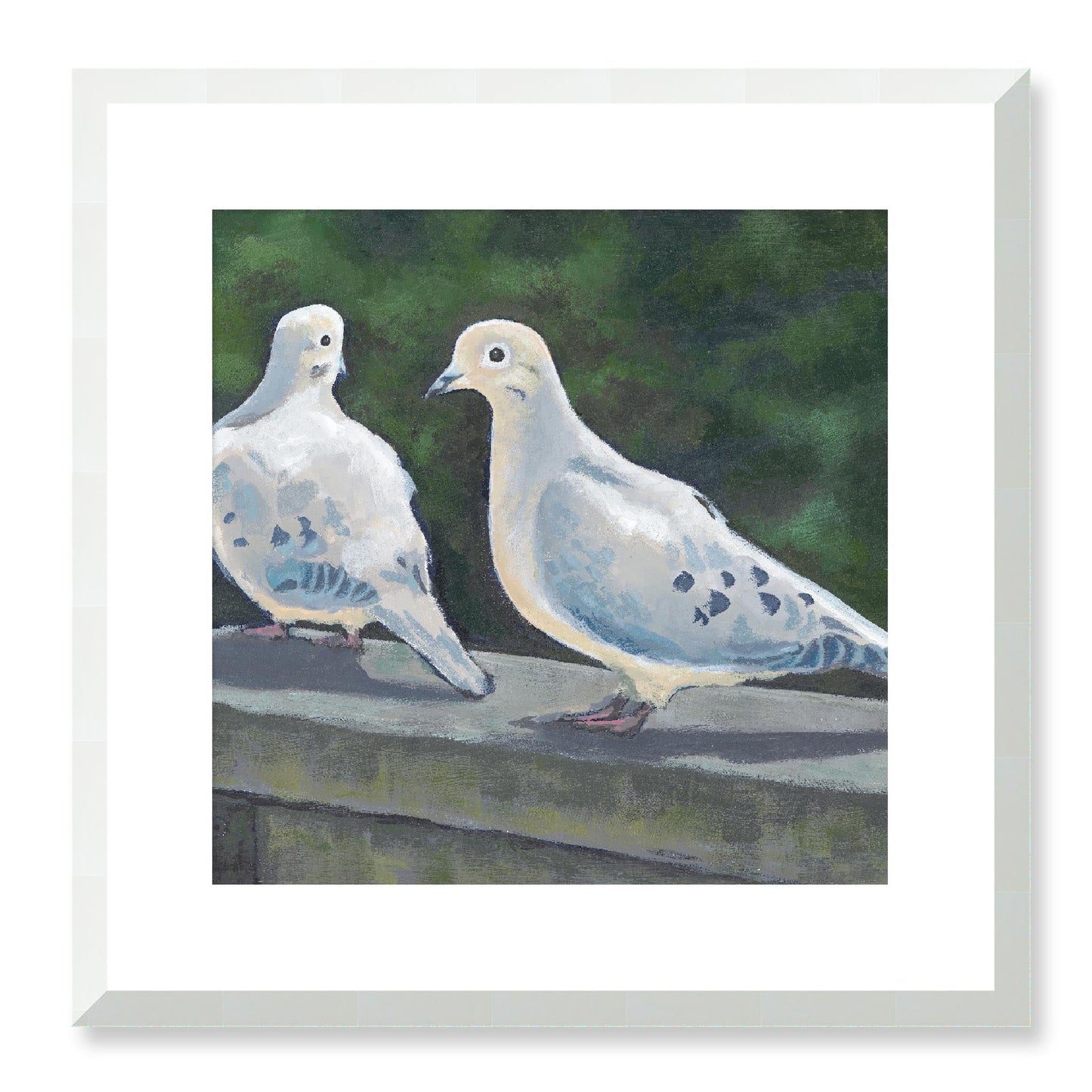 Framed Fine Art Print, White Mat - 12x12 16x16 20x20 24x24 28x28 32x32 36x36 40x40 inches | Mourning Doves in Acrylic, FPS-1000-1125, Prints, Fine art, White Frame, 41 x 41 cm ,16 x 16 inches