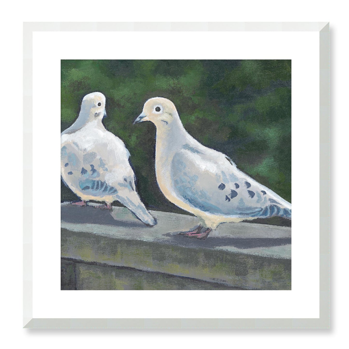 Framed Fine Art Print, White Mat - 12x12 16x16 20x20 24x24 28x28 32x32 36x36 40x40 inches | Mourning Doves in Acrylic, FPS-1000-1125, Prints, Fine art, White Frame, 51 x 51 cm ,20 x 20 inches