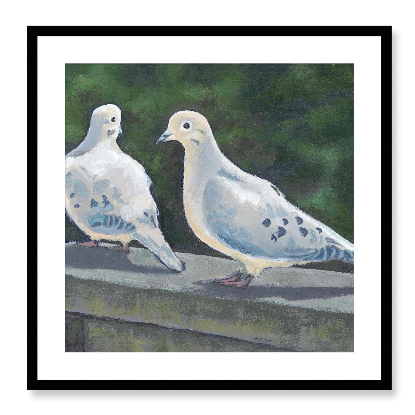 Framed Fine Art Print, White Mat - 12x12 16x16 20x20 24x24 28x28 32x32 36x36 40x40 inches | Mourning Doves in Acrylic, FPS-1000-1125, Prints, Fine art, Black Frame, 61 x 61 cm ,24 x 24 inches