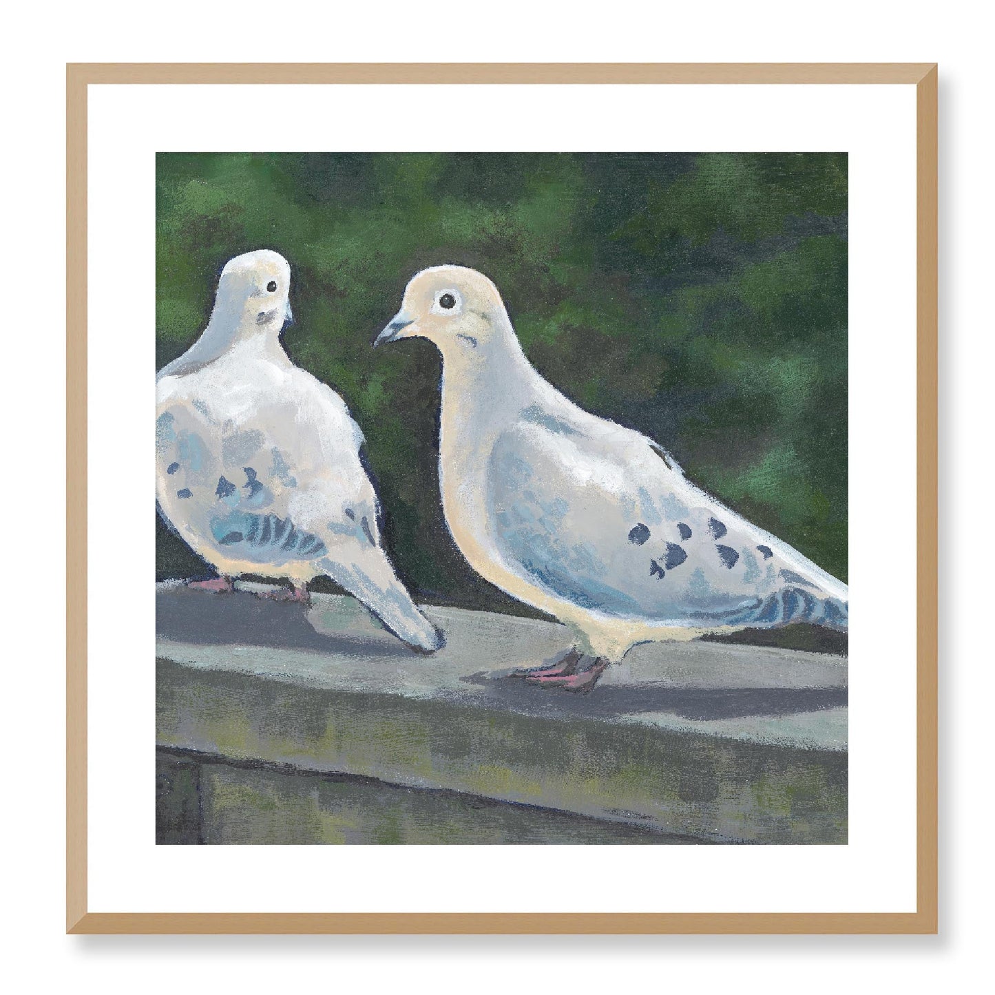 Framed Fine Art Print, White Mat - 12x12 16x16 20x20 24x24 28x28 32x32 36x36 40x40 inches | Mourning Doves in Acrylic, FPS-1000-1125, Prints, Fine art, Natural Frame, 61 x 61 cm ,24 x 24 inches