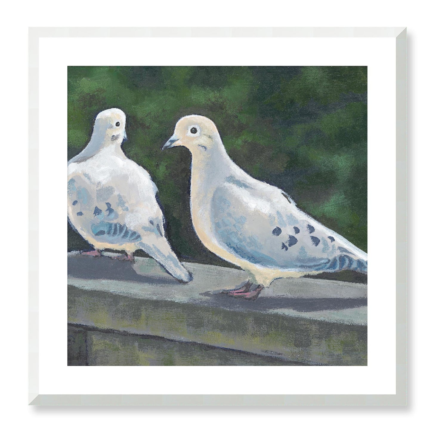 Framed Fine Art Print, White Mat - 12x12 16x16 20x20 24x24 28x28 32x32 36x36 40x40 inches | Mourning Doves in Acrylic, FPS-1000-1125, Prints, Fine art, White Frame, 61 x 61 cm ,24 x 24 inches