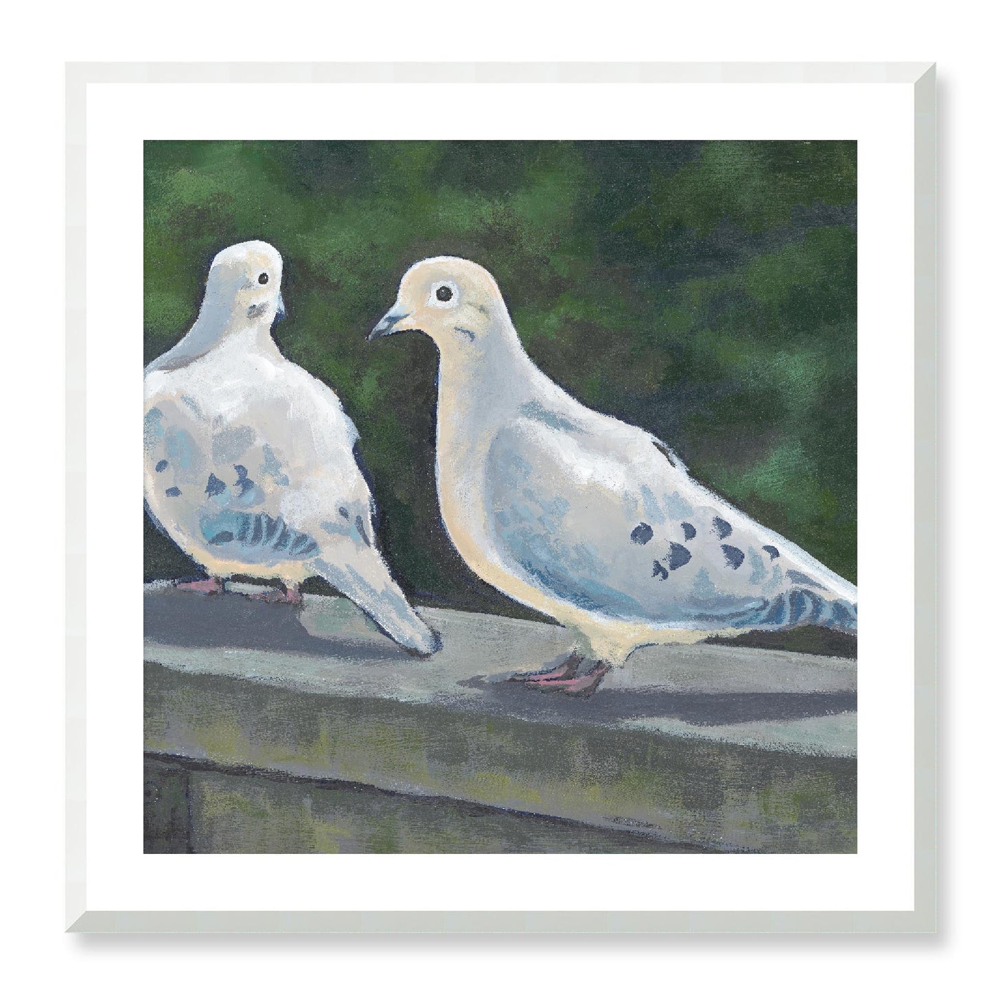 Framed Fine Art Print, White Mat - 12x12 16x16 20x20 24x24 28x28 32x32 36x36 40x40 inches | Mourning Doves in Acrylic, FPS-1000-1125, Prints, Fine art, White Frame, 71 x 71 cm ,28 x 28 inches